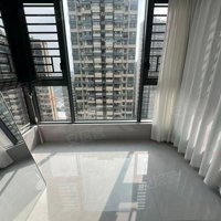 小的软金枪鱼